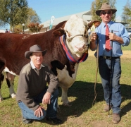 2013-Wodonga-Show-and-Sale37