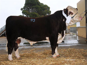 Braybook-Federer-SGEF448