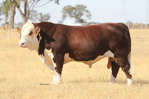 Morganvale-Hallett-WLMH112