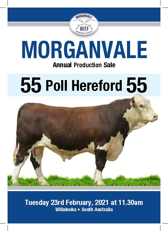 59239-21 Morganvale-Catalogue-P2 (002)_Page_01